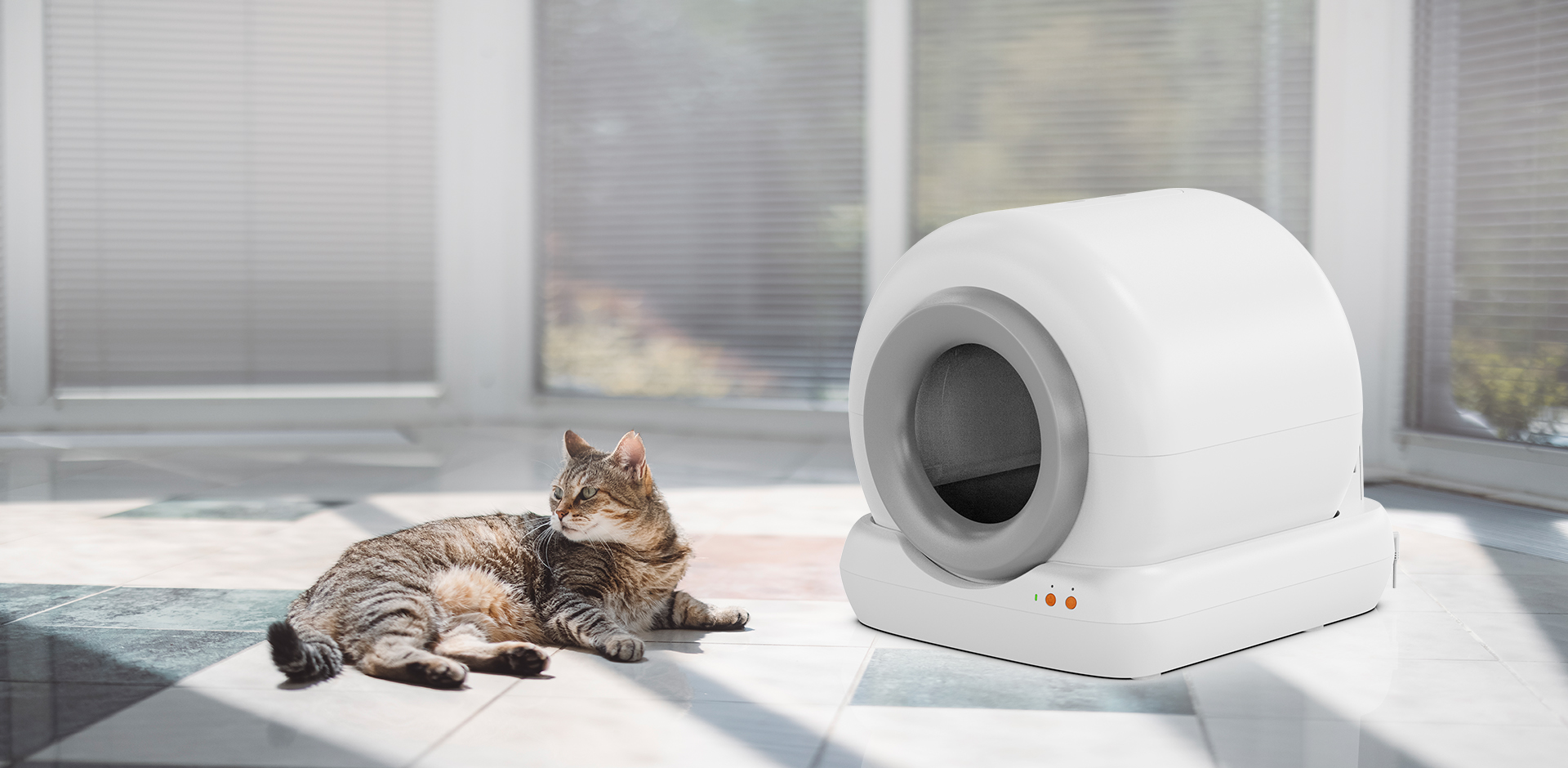 نينغبو Meace منتجات الحيوانات الأليفة المحدودة