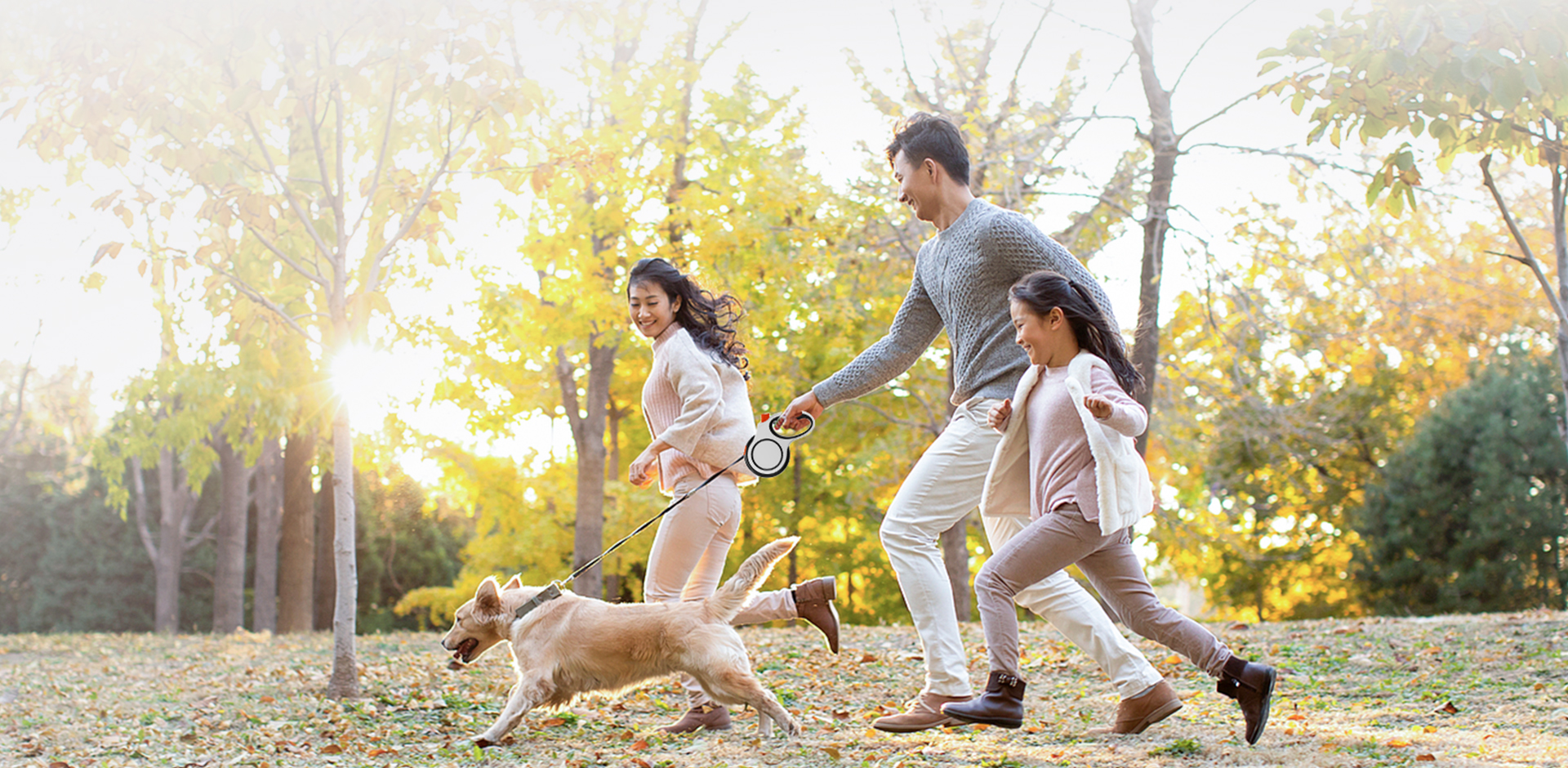 نينغبو Meace منتجات الحيوانات الأليفة المحدودة