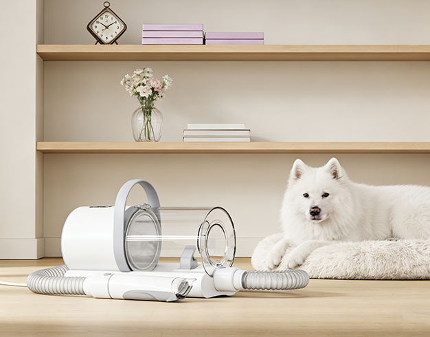 رعاية الحيوانات الأليفة